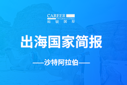 Ezpay钱包GO GLOBAL | 沙特阿拉伯国家简报